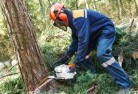 South Tammintree-cutting-services-21.jpg; ?>